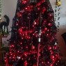 Merry Sithmas 's Christmas tree from Riverview, Florida