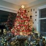 Fadi Haddad's Christmas tree from Canada Ontario 