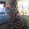 Alan Donohue's Christmas tree from Dublin, Ireland