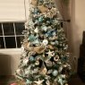 Barbara Porter's Christmas tree from coxsackie NY, USA