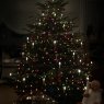 Andreas's Christmas tree from Dortmund, Germany