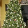 Crochet Christmas!'s Christmas tree from Virginia