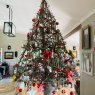 Fran Saville's Christmas tree from Gingindlovu, KZN, South Africa 