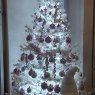 DE ALMEIDA 's Christmas tree from Rehon France