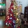 dilcia uzcategui's Christmas tree from Falcón Venezuela 