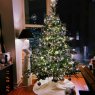 Nate and Ryan's Christmas Tree!'s Christmas tree from Omaha, NE, USA