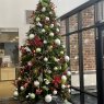 Cindy Pastrick's Christmas tree from Indianapolis, IN  USA