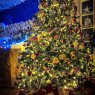 Familia Martinez Jara 's Christmas tree from Cuenca - Ecuador 