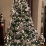 Weihnachtsbaum von Gina Patrick (Colorado Springs, CO, USA)