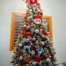 Gea Jose's Christmas tree from India