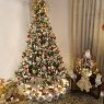 Armando  Alvarez C's Christmas tree from Lima Peru