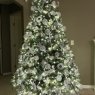 Jennifer D 's Christmas tree from USA