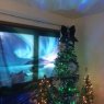 Northern Lights Christmas 's Christmas tree from Anchorage,Alaska 