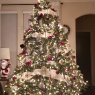 Harper Tree's Christmas tree from Texas