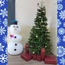 Larisa, Class XI-U LMHAnina's Christmas tree from Anina, Caras-Severin County, Romania