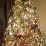 Doug B.'s Christmas tree from Lexington, SC
