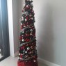 Licorice 's Christmas tree from Treasure island, florida