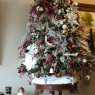 Weihnachtsbaum von Christmas in Woodinville  (Woodinville, WA, USA)