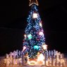Weihnachtsbaum von Crombin Marie-Anne (Belgique )