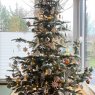 Sapin de Noël de Nadin (Bavaria, Germany)