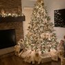 Árbol de Navidad de Crystal Lady (Morrow, OH, USA)
