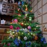 Carol 's Christmas tree from Zaragoza, España