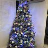 Angus's Christmas tree from Australia