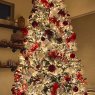 Árbol de Navidad de Taffie Yang & Fam (Denver, CO, USA)