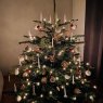 Weihnachtsbaum von Sebastian Schulz (Koeln)