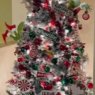 Árbol de Navidad de LaCarla Hall (Carneys Point, New Jersey, USA)