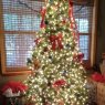 Katy Daniel 's Christmas tree from Newton, Texas, USA
