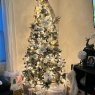 Sapin de Noël de Fancy Tree (Evanston, IL)