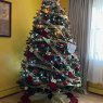 Weihnachtsbaum von Chartrisse A Adlam (Long Island, New York, USA)