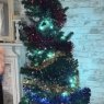 Weihnachtsbaum von Millbank (Holyhead, UK)