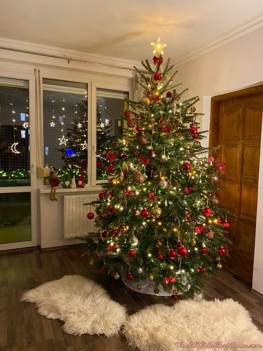 Geri's and Petra's christmas tree from Hungary (Hungary)