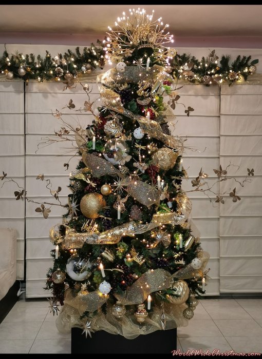 My GOLDEN ROYAL CHRISTMAS TREE (Ciudad de México)