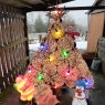 Gatez's Christmas tree from Vielsalm, Belgique