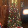 Árbol de Navidad de Gayle Abbott (Decatur, GA, USA)