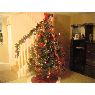 Aldemar Rodríguez's Christmas tree from Deerfield Beach, Fl