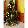 Paz's Christmas tree from Zaragoza, España
