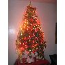 Fabiola Arredondo's Christmas tree from Viña del Mar ,Chile