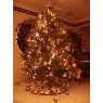 Susik's Christmas tree from Gandia