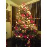 Ruth Toscano's Christmas tree from Tijuana, Baja California, México