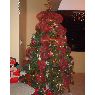Familia Medina Acosta's Christmas tree from Caracas, Venezuela
