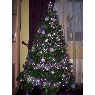 Mari Cruz's Christmas tree from Cantabria,España