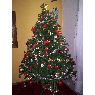 Alvaro Chaves's Christmas tree from Mendoza, Argentina