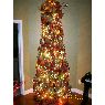 Joey Miller's Christmas tree from Pensacola, Florida, USA