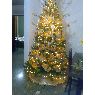 Yoksana's Christmas tree from Venezuela