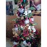 Isabel's Christmas tree from Guarico, Venezuela