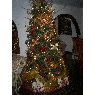 MIRIANGELA ALEJANDRA OLAVES ATENCIO's Christmas tree from MARACAIBO EDO ZULIA